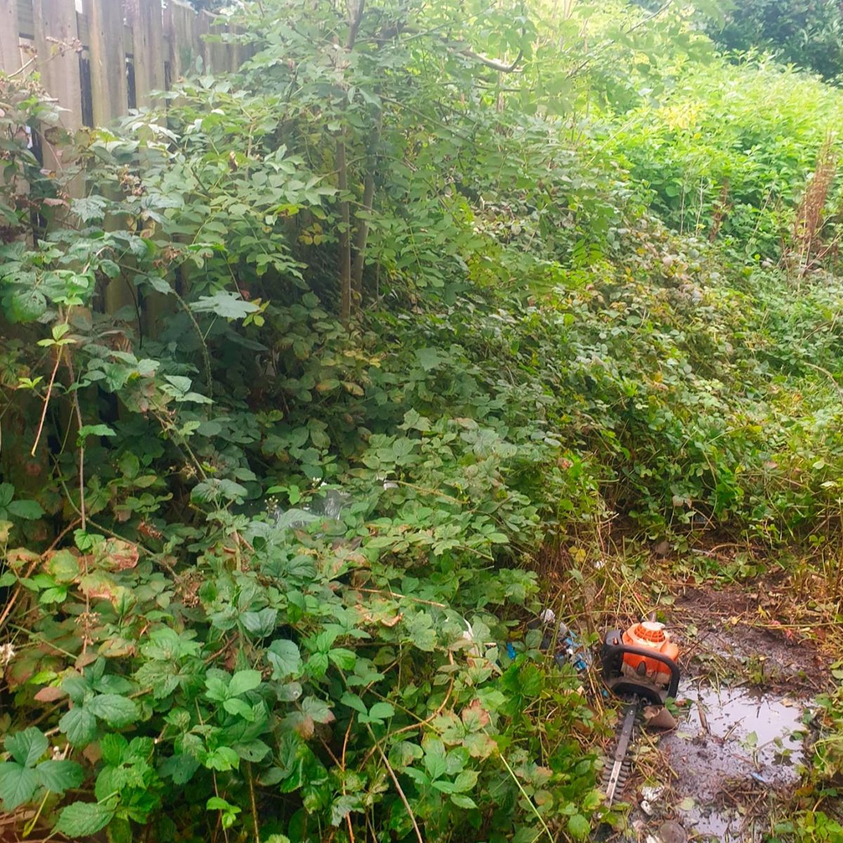 Garden Clearance in Fittonhill