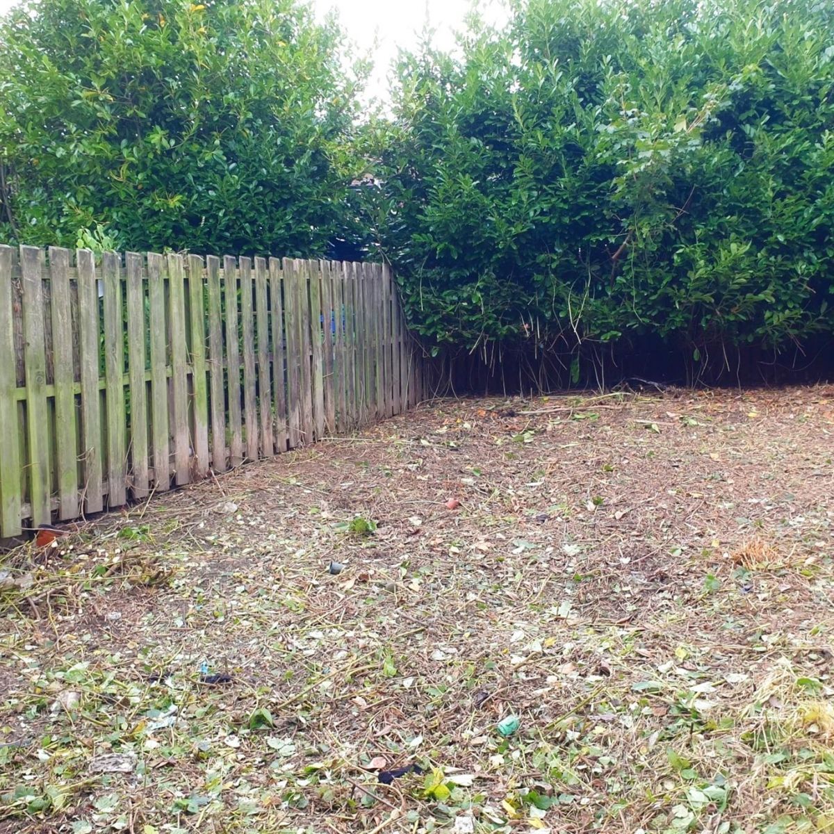 Garden Clearance in Fittonhill