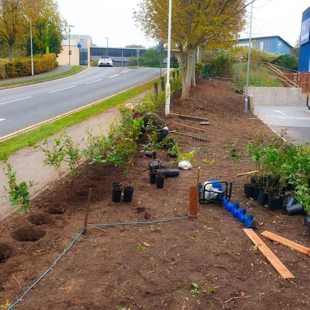 Planting in Rochdale