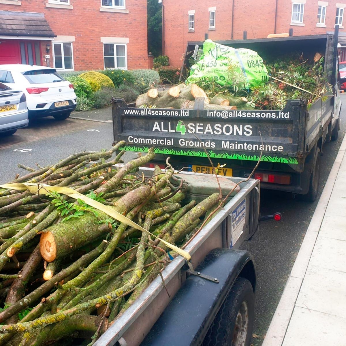 Tree and Branch Removal