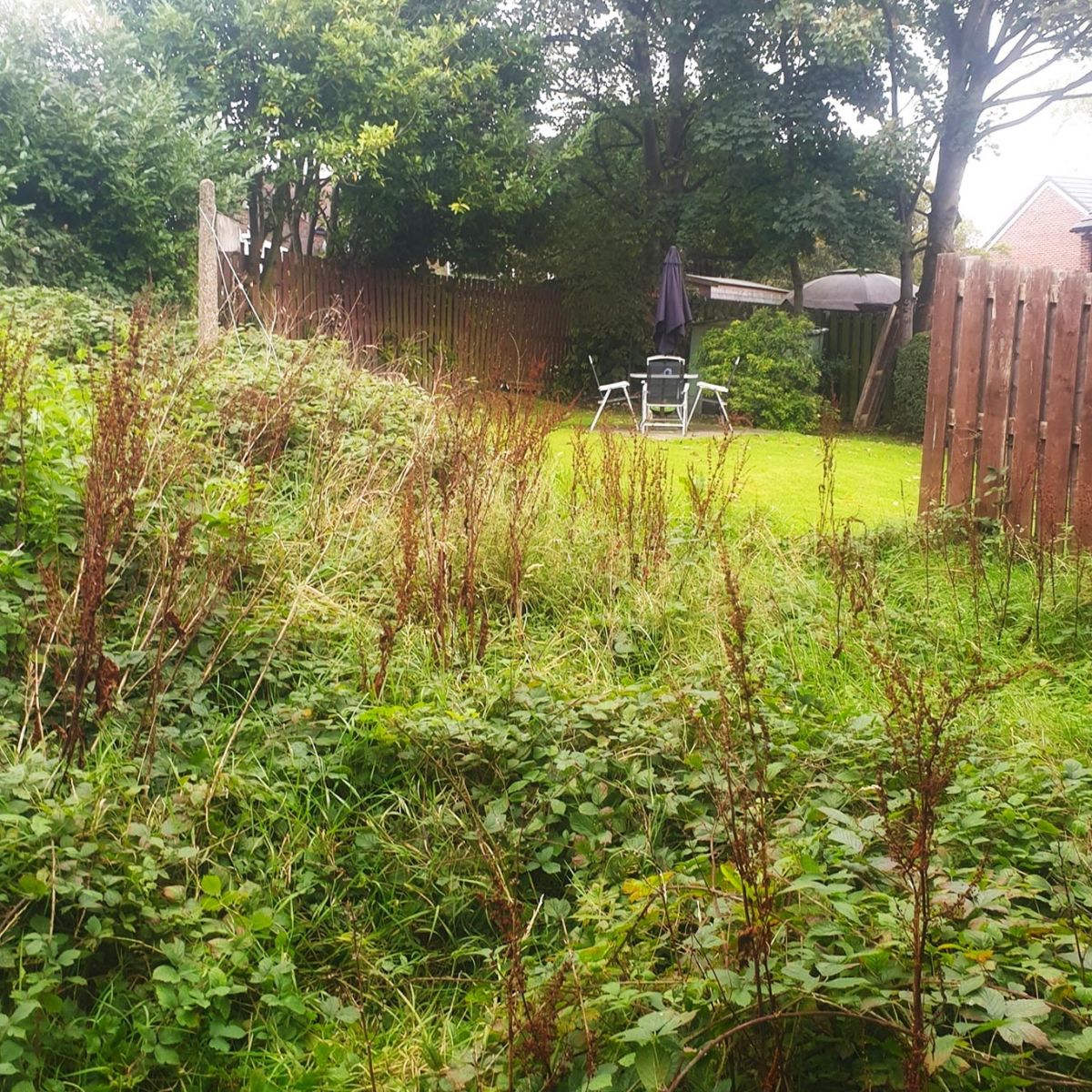 Garden Clearance in Fittonhill